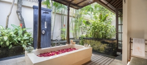 Villa rental Seminyak, Bali, #1017