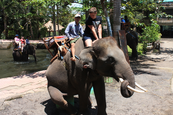 Elephants Park Taro in Ubud