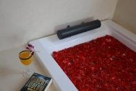 Villa rental Seminyak, Bali, #163