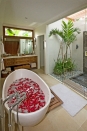 Villa rental Seminyak, Bali, #166