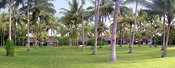 Villa rental Lombok , Bali, #279
