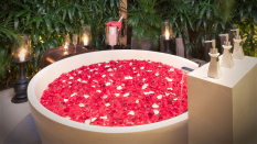 Villa rental Seminyak, Bali, #468