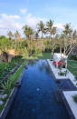 Villa rental Canggu, Bali, #568