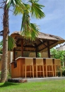 Villa rental Seminyak, Bali, #786