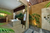 Villa rental Seminyak, Bali, #1029