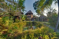 Villa rental Canggu, Bali, #1157