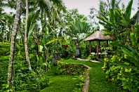 Villa rental Ubud, Bali, #1159