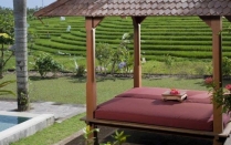 Villa rental Canggu, Bali, #1361