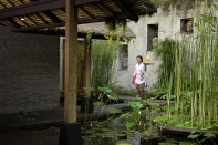 Villa rental Tabanan, Bali, #1749