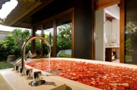 Villa rental Canggu, Bali, #1859