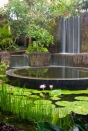 Villa rental Canggu, Bali, #1859