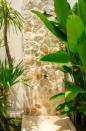 Villa rental Canggu, Bali, #2007